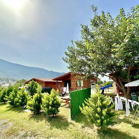 Hurmalik Apart Evleri-Very Close To The Sea Large Garden Bungalow With Barbecue And Swing Karaoz Exteriér fotografie