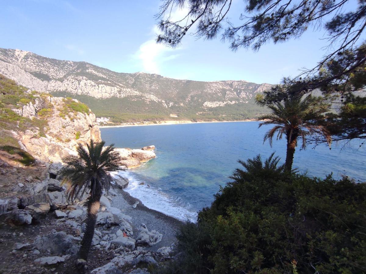 Hurmalik Apart Evleri-Very Close To The Sea Large Garden Bungalow With Barbecue And Swing Karaoz Exteriér fotografie